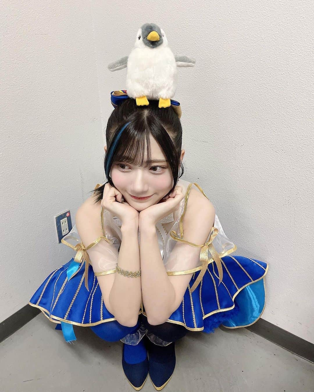 山田麻莉奈さんのインスタグラム写真 - (山田麻莉奈Instagram)「. シオネちゃんの見守り係🐧🫧  名前はまだない。 本番前ぐーたっちしてもらって がんばれをもらって この子のおかげでがんばれました💮  常にシオネちゃんの近くにいる 四コマ漫画のやつ面白かったなあ( ･⊝･ )笑  そして！ 今回もエクステは @vaice_hair_2020 さんで 可愛くしてもらいました！ 前回のライブでもこのカラーを作ってくださって...🥣 つける位置も、ポニーテールしたときにちょうど見えるとこに 付けていただきました！！ いつもありがとうございます💙  @vaice_kazu  @vaice_kyo   #t7s #ナナシス #t7sStartrail」3月5日 22時33分 - marina.yamada_324