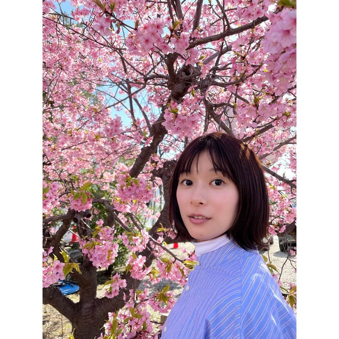 芳根京子さんのインスタグラム写真 - (芳根京子Instagram)「「それってパクリじゃないですか？」 常盤貴子さんの出演が解禁になりました！！ 嬉しすぎます...！😭  常盤さんとは私が高校生の頃、映画でご一緒させてもらいました。ただあの時は私が常盤さんの高校生時代の役だったため、今回やっと！対面してお芝居させてもらっています。  限られた時間を大切に1シーン1シーン丁寧に向き合いたいと思います。  そして放送日も解禁になりましたね！ 4月12日(水)22時からです！ あと約1ヶ月とちょっと！  自信を持って皆さんにお届けできるよう頑張ります！  #それパク @sorepaku_ntv」3月6日 9時21分 - yoshinekyoko