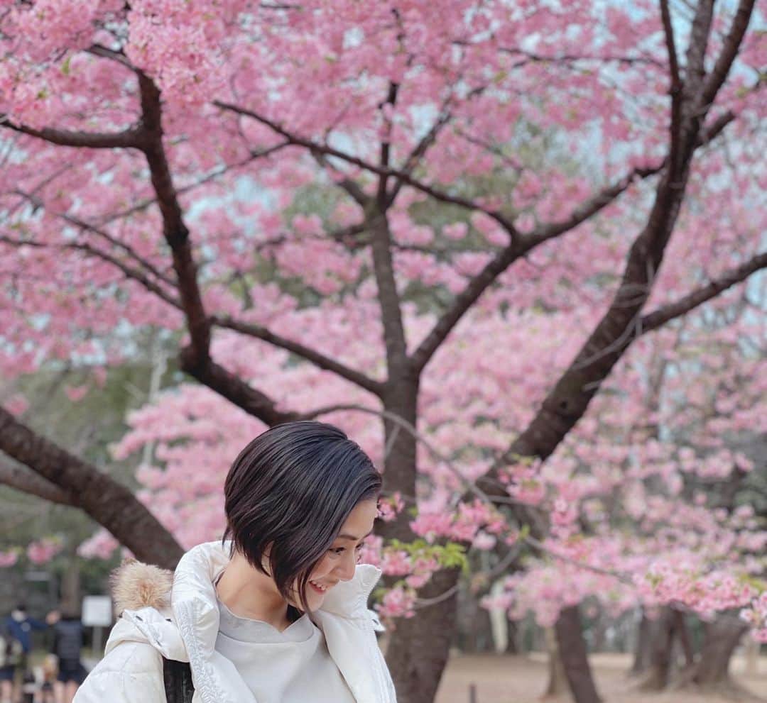 片山萌美さんのインスタグラム写真 - (片山萌美Instagram)「🌸  #cherryblossom  #spring  #moemikatayama  #河津桜」3月6日 15時14分 - moet_mi