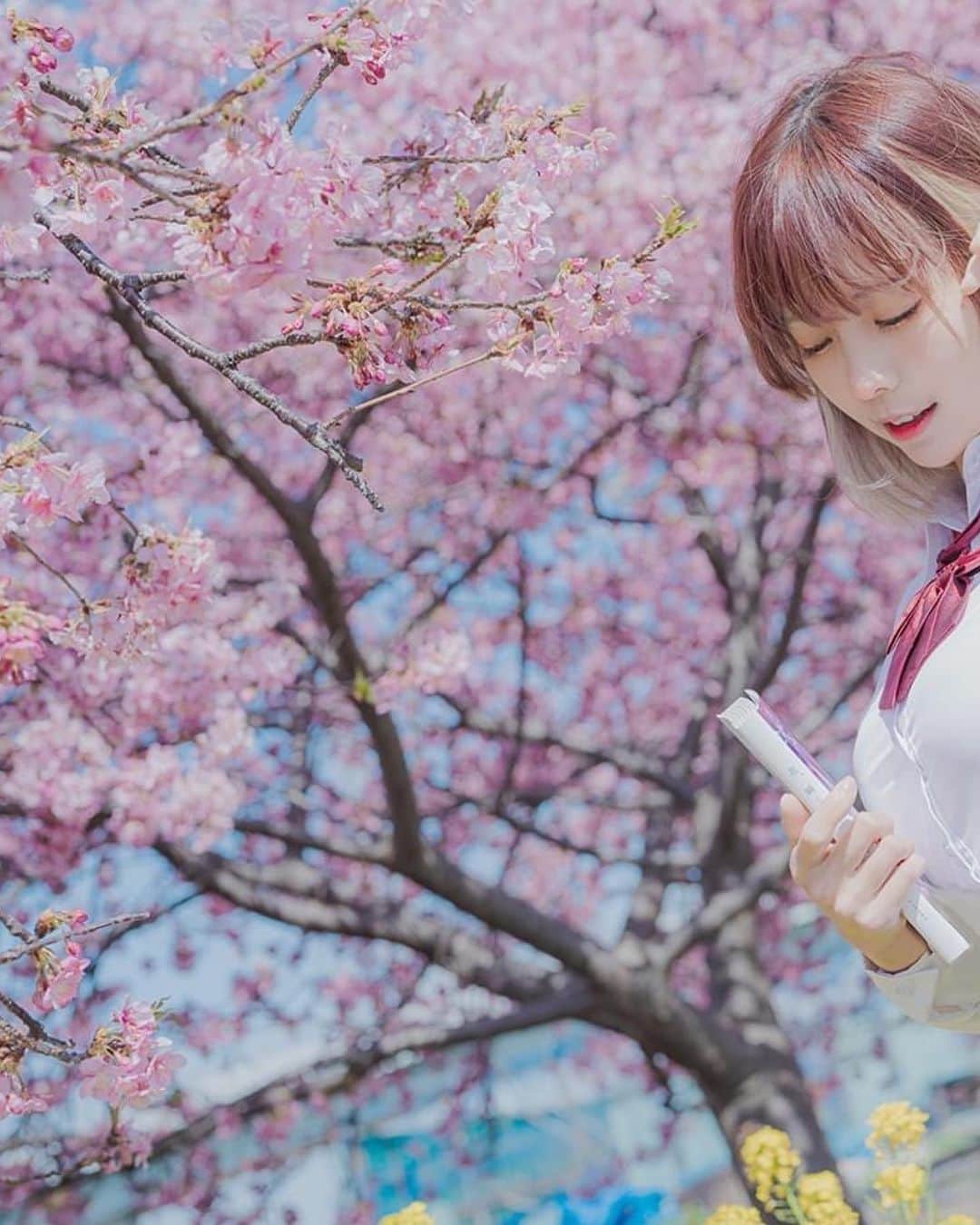 Elyさんのインスタグラム写真 - (ElyInstagram)「Hello everyone, it's March ! It's the season when everything is in full bloom, and I hope you can all enjoy this beautiful time of year. In this month, let me take you to appreciate the early-blooming cherry blossoms together.🌸🌸🌸  ✧～✧～✧ もう3月になりましたね！ 花が咲き誇る春の季節です。この美しい季節を存分に楽しめるといいですね。 今月の写真セットはこちらです、早咲きの桜を一緒に楽しみましょう。🌸🌸🌸  ✧～✧～✧  一個眨眼，到三月了！✨ 漸漸越來越暖的天氣，希望你們都能好好地享受這美好的季節~ 在這個月份，讓Ely帶你一起欣賞早早來訪的櫻花🌸🌸🌸 ✦歡迎加入收藏完整寫真  #ely #elycosplay #portrait #sakura #制服 #uniform」3月6日 17時26分 - eeelyeee