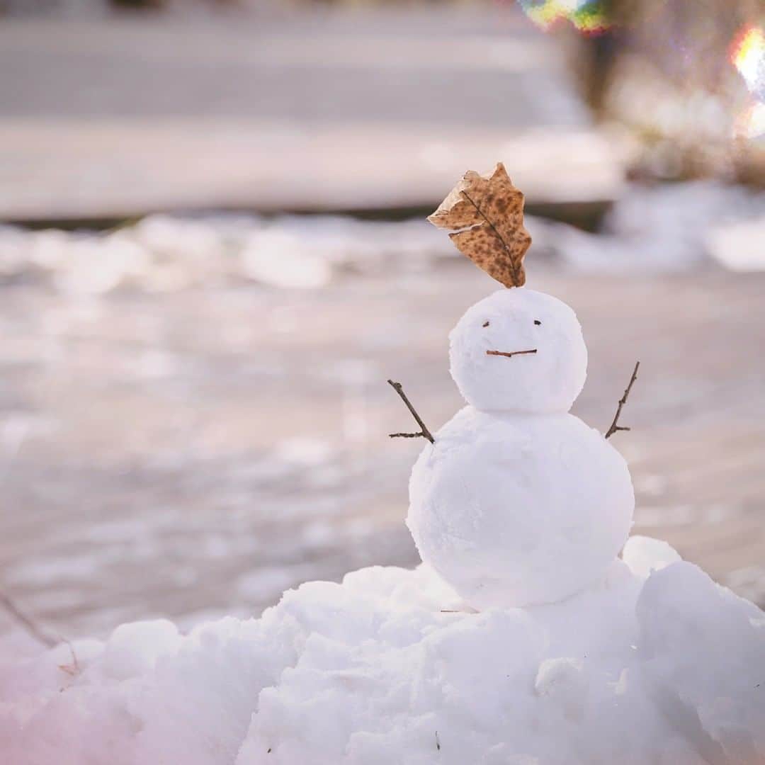 AbemaTV「オオカミちゃんには騙されない」さんのインスタグラム写真 - (AbemaTV「オオカミちゃんには騙されない」Instagram)「❄︎雪だるまを作ったのは誰？❄︎ 雪の中でデートしたメンバーたち 雪だるまを作りながら会話したペアは誰でしょうか…？ #オオカミオフショット   〜 ✽〜 ・〜 ✽〜 ・〜 ✽〜 ・〜 ✽〜 ・〜 ✽〜  あなたはこの“嘘“を 見破れますか？  新シーズンは女性側に恋をしようとしない「“嘘つき”オオカミちゃん」が潜んでいる。  - 花束に隠されたのは恋？  それとも嘘？-  #花束とオオカミちゃんには騙されない  3/5(日)よる10時ABEMAで配信スタート💐  〜 ✽〜 ・〜 ✽〜 ・〜 ✽〜 ・〜 ✽〜 ・〜 ✽〜  #齊藤なぎさ (19) @saitou_nagisa #美月 (22) @lxxe_myself.8 #永井愛実 #まんちゃん (20) @nagai_manami_0921 #ちせ #치세 (24) @peach_chu_ #中川紅葉 (22) @kureha_nakagawa #かりん (17) @sunazurisuki_  #夏生大湖(21) @omi.natsuki.official #柊太朗(22) @tar0tar0tar0shi #今井竜太郎(17) @ryutaro__imai #ロビン(19) #robin #로빈 @thereal_robin_ #マテウス(22) @spicegirl.jp  〜 ✽〜 ・〜 ✽〜 ・〜 ✽〜 ・〜 ✽〜 ・〜 ✽〜  #花束オオカミ #花束とオオカミちゃんには騙されない #オオカミには騙されない #オオカミ好きと繋がりたい #JKの素敵な思い出 #fjk #sjk #ljk #恋愛 #軽井沢 #デート #アウトドア」3月6日 19時07分 - ookami_official