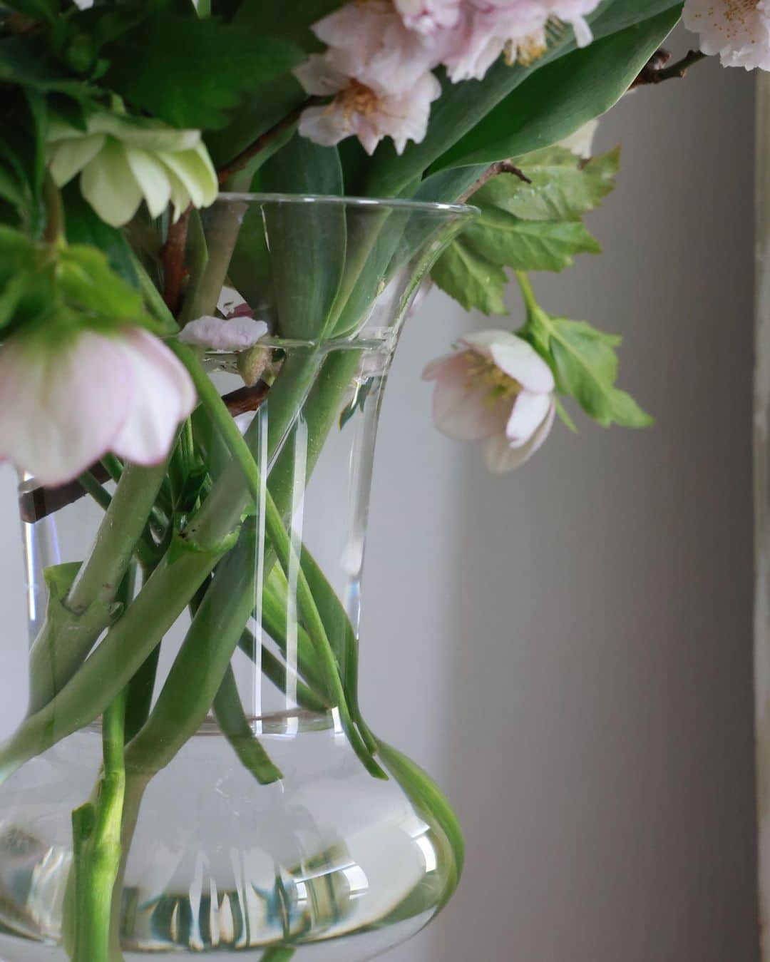masakiさんのインスタグラム写真 - (masakiInstagram)「tue.7 Mar.2023 おはよう 我が家の玄関は春爛漫♡ チューリップ、ラナンキュラス、 庭の梅とクリスマスローズがもりもり！ マサコお気に入りのアンティークのガラスの花器は、 包容力たっぷり。 枝物も短めの切花も、ある程度の花は とっても素敵に魅せてくれます。 それに見た目も誰もが憧れるナイスバディ！ ボンキュっボンでございます♡  この絵になる花器が ガラス作家  @taiga_oku さんによって 透明度を増してクリアに、そして安定感といい より理想のフォルムになって蘇りました！ 大きさ、ガラスの厚み、緩やかな曲線と ガラスのシャープさ、凛とした高台。 理想のナイスバディになるまでは、試作を重ねて、 奥さんにあーでもない、もう少し膨れてキュッして！ なんて、自分の身体も絞れない身分で このこには厳しく言ってしまいました。 まるでステージママのようにw  今週末からはじまる奥さんの初の個展 予約は明日20:00より 詳しくは @hugowar_vintagechic  たのしみです♡  あ、ショートケーキ泥棒は うちの長男坊 妖怪あつ森でした…🍰 ムカつくー」3月7日 8時21分 - mogurapicassowols
