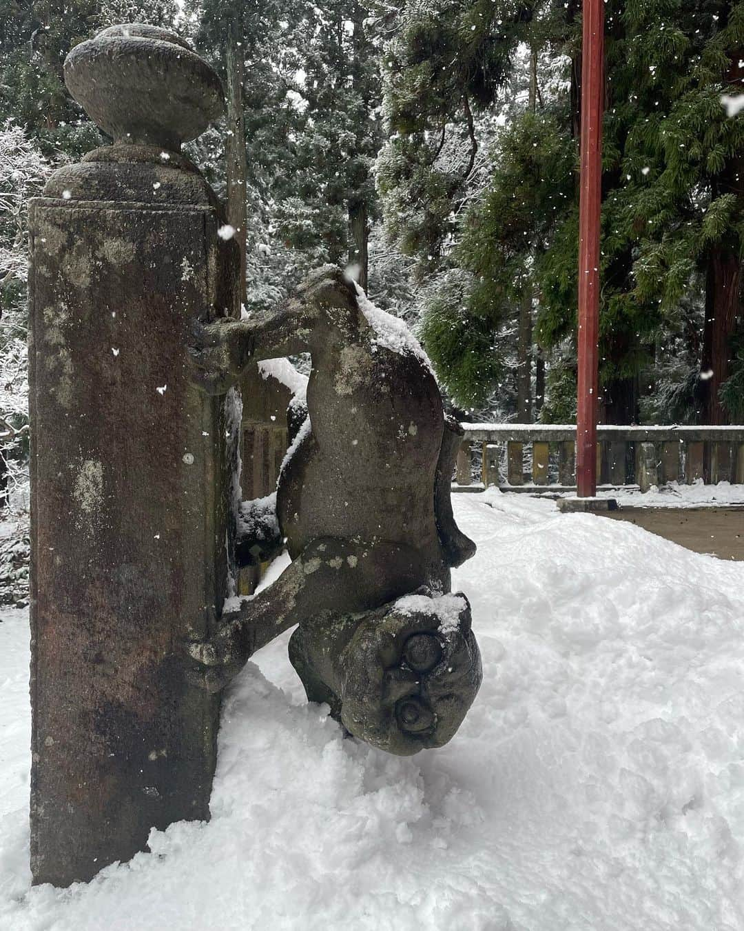 王林さんのインスタグラム写真 - (王林Instagram)「#hirosaki   青森県弘前市にあるパワースポット岩木山神社⛩🍏 王林が定期的に行く場所。岩木山の中腹にある神社で冬は真っ白な世界の中にある赤がよりパワーを感じさせてくれるよ🫣 龍神の神様が居て、王林がライブしたり撮影したり大切な日って絶対晴れるんだけどここのおかげだとおもってる🌞💚 岩木山からの湧水もあるの！縁起がよすぎるね🤤  そして弘前と言ったら煮干しラーメン！ 弘前公園のすぐ近くにあるラーメン店「煮干結社弘前」の「煮干番長」あっという間に食べ終わりました🤤 濃厚すぎるどろどろ煮干しのスープが麺によく絡んでそこに食感と辛さをくれる玉ねぎがめんだよなぁ ここは外まで列できて並んでるのも結構見る！行ってみてね🕺🕺  @akita_rail_trip もっと詳しく青森を知りたい人はこっちもチェックしてね！  #弘前 #弘前グルメ #弘前ラーメン #青森グルメ #青森観光  #煮干しラーメン #ニボシチュウドク #岩木山 #岩木山神社 #神社 #aomori #ツガルツナガル #津軽観光キャンペーン #王林の青森事情」3月7日 18時40分 - ourin_ringoooo