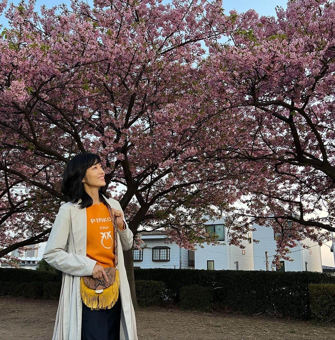 早見優さんのインスタグラム写真 - (早見優Instagram)「Ahhhh! Sakura season in Japan   #sakura #cherryblossom #桜」3月7日 19時04分 - yuyuhayami