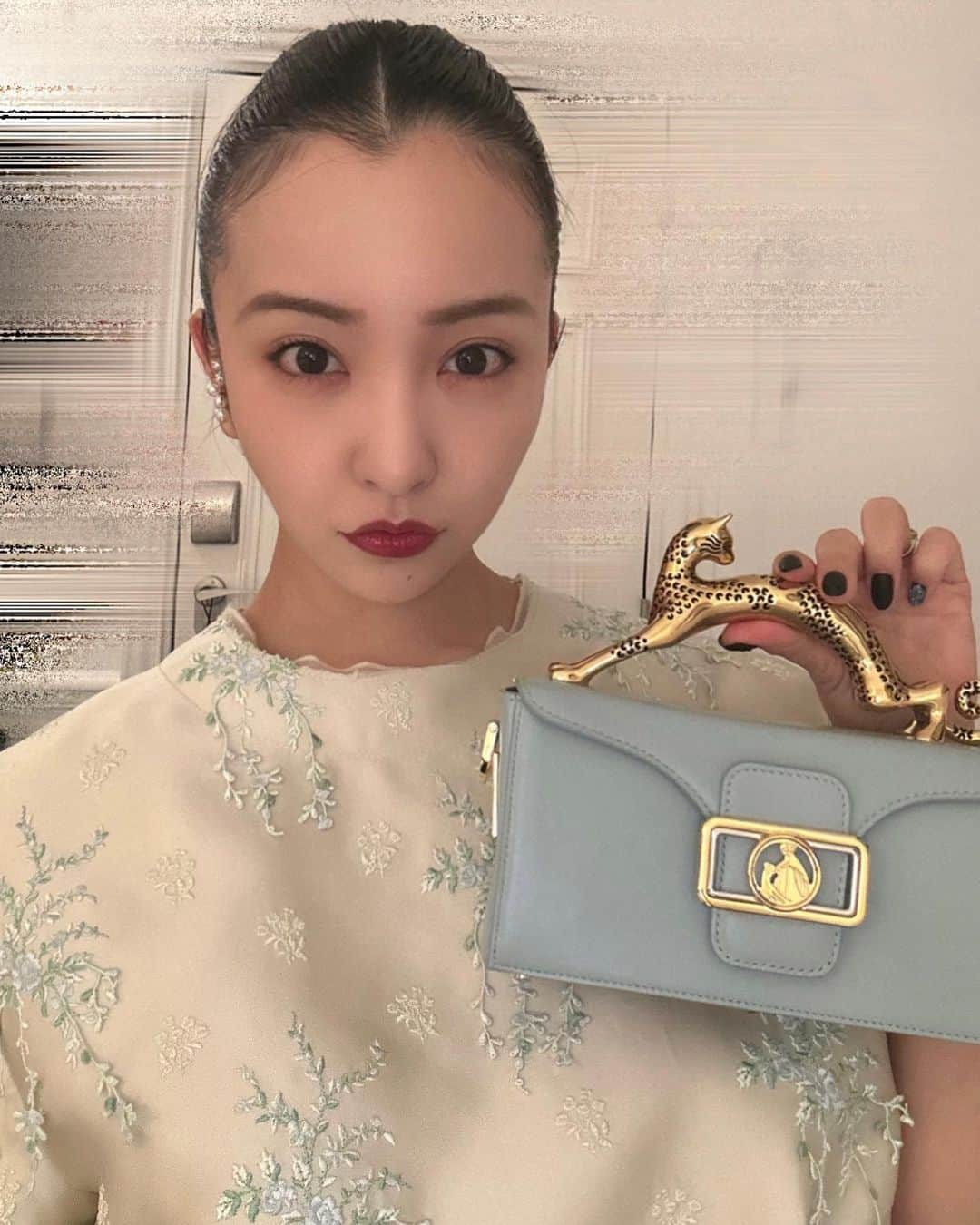 板野友美さんのインスタグラム写真 - (板野友美Instagram)「ハンドルが🐈‍⬛になってる🐾  @lanvin」3月7日 20時13分 - tomo.i_0703