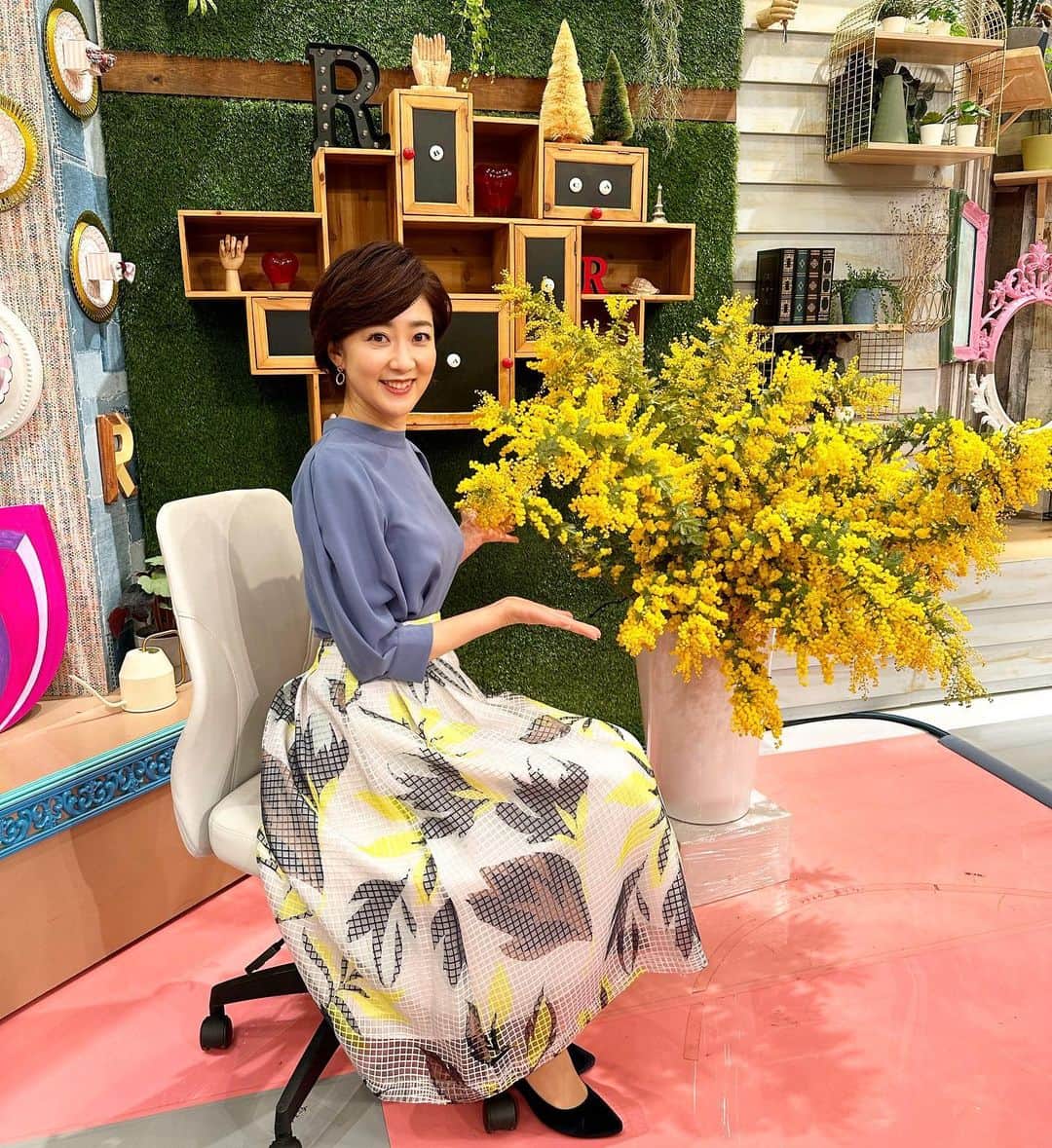池尻和佳子さんのインスタグラム写真 - (池尻和佳子Instagram)「今日は、国際女性デー。シンボルのミモザがスタジオに飾られています。黄色はとっても元気になりますね‼︎」3月8日 15時16分 - wakako_ikejiri_rkb