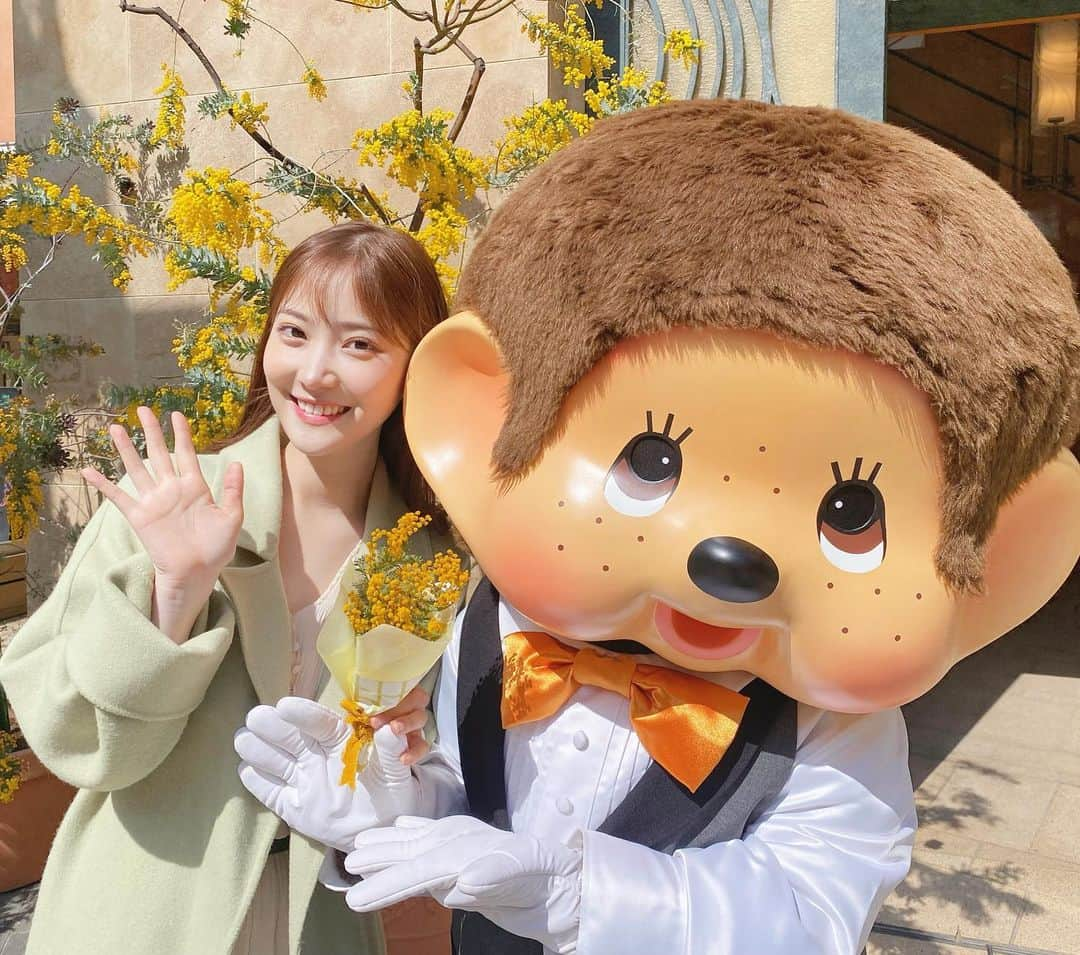 野村彩也子さんのインスタグラム写真 - (野村彩也子Instagram)「. 🌼ミモザの日🌼  イタリアではミモザの花に「感謝」の意味を込めて 大切な人にミモザを贈る習慣があるそう☺️💓  ラブリーすぎずとってもスマートな心意気✨  ミモザはもともとすっごく好きで 本当に貴重で繊細なんです✨  美しく花開いているのをみて 感動してしまいました。  ふわふわっと満開に咲いている様子は 儚げながらも心が温かくなりますよ💕  川崎にあるラチッタデッラにて 「MIMOSA FESTA」開催中です✨  久しぶりに凱旋できた川崎🙈 (いってもＪリーグ開幕戦で等々力行ったばかりですが😂)  やっぱり神奈川好きです💕  改めて周りの方への感謝の気持ちを。 一人ではなにもできないな心底思います😊  皆さんもつい照れてしまうけれど 周りに感謝を伝えてみてください💐  お花をもらって嬉しくない女性は いないと思います🤭笑  . . . .」3月8日 19時50分 - nomurasayako