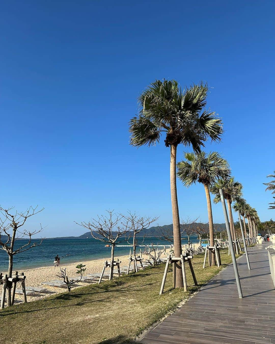 鈴木あやさんのインスタグラム写真 - (鈴木あやInstagram)「夏がはじまるっ💙🏝 最近の石垣島は23度とかですでに暑いよ🫠☀️ お散歩しながらぼーっとするのが心地よい時期になってきた〜☘️  #石垣島 #石垣島移住 #石垣 #離島暮らし」3月8日 20時44分 - techitechiaya