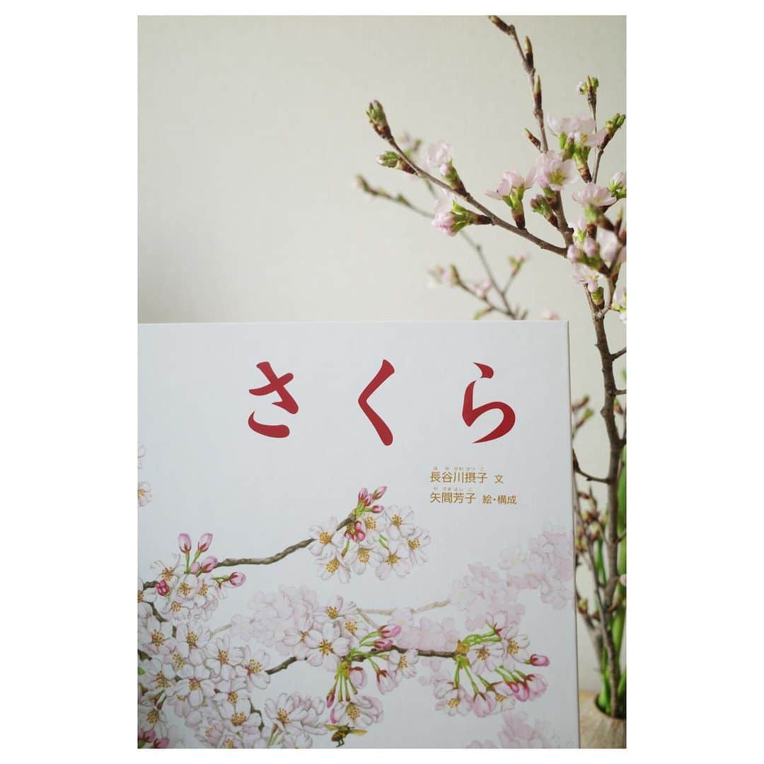 高垣麗子さんのインスタグラム写真 - (高垣麗子Instagram)「* あちらこちらで桜を意識する季節ですね𓂃 東京の開花予想は来週だとか🌸  最近、なかなかゆっくり娘と過ごすことができていないな...と感じて本屋さんへ  さくらの本を買ってみました さくら入りのミニブーケも買ってきました  蕾だったのに、このあたたかな気候のおかげで一晩で花開いてきた  今年はお花見を思い切り楽しむつもりだけど、おうちでも楽しめるね  380円のブーケだってさくらに触れることができるんだ🌸  お団子も食べたいな𓂃 (今年は花より団子...になりませんように)  * #cherryblossom  #flower  #桜 #お花見 #🌸」3月9日 9時45分 - reikotakagaki