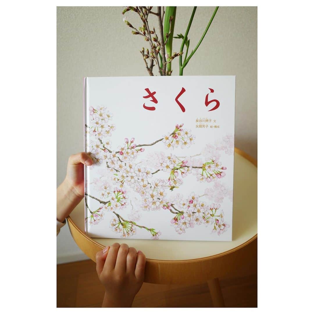 高垣麗子さんのインスタグラム写真 - (高垣麗子Instagram)「* あちらこちらで桜を意識する季節ですね𓂃 東京の開花予想は来週だとか🌸  最近、なかなかゆっくり娘と過ごすことができていないな...と感じて本屋さんへ  さくらの本を買ってみました さくら入りのミニブーケも買ってきました  蕾だったのに、このあたたかな気候のおかげで一晩で花開いてきた  今年はお花見を思い切り楽しむつもりだけど、おうちでも楽しめるね  380円のブーケだってさくらに触れることができるんだ🌸  お団子も食べたいな𓂃 (今年は花より団子...になりませんように)  * #cherryblossom  #flower  #桜 #お花見 #🌸」3月9日 9時45分 - reikotakagaki