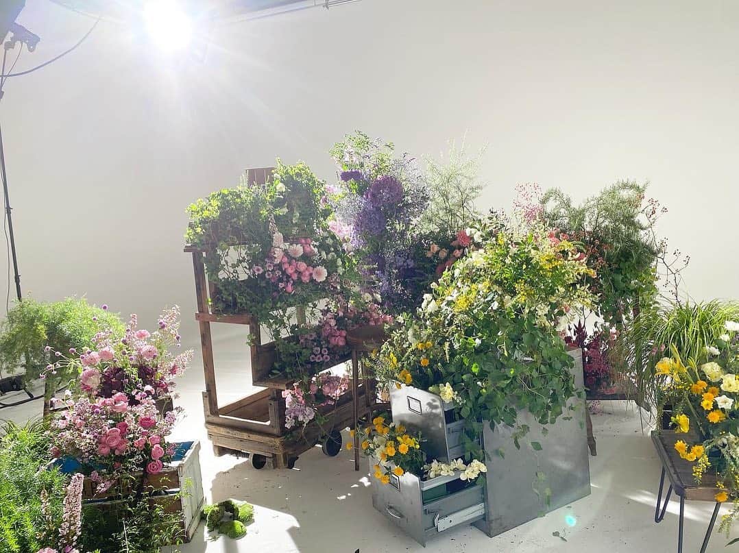 梅澤美波さんのインスタグラム写真 - (梅澤美波Instagram)「お花がより、生き生きしてくれる季節ですね  冬がすきだから終わってほしくない気持ちと、 いったりきたり」3月9日 15時59分 - ume_minami.official