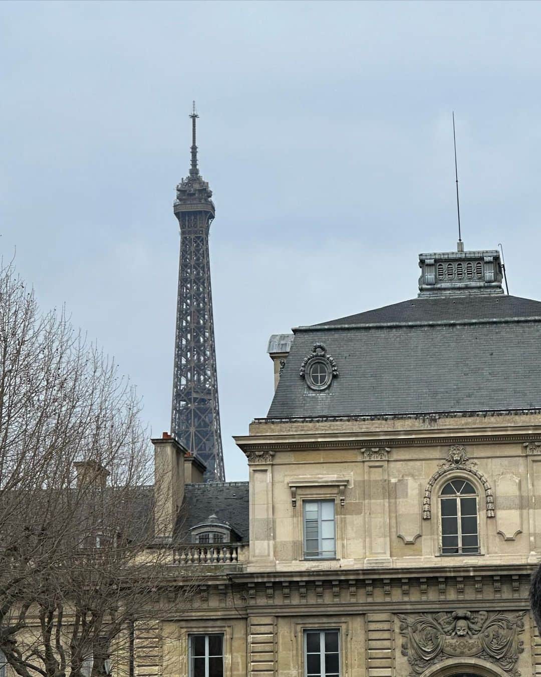 板野友美さんのインスタグラム写真 - (板野友美Instagram)「Paris Day6. @stellamccartney show  🐎との演出👏🏻  わたしは、まっくろ 🐈‍⬛🌚🖤 #pfw #stellamccartney #2023FW #Fashion」3月10日 16時10分 - tomo.i_0703