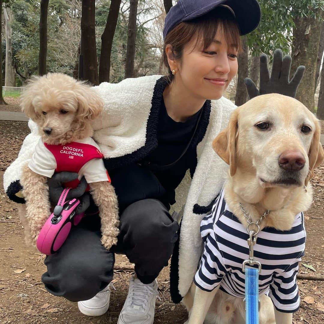 矢田亜希子さんのインスタグラム写真 - (矢田亜希子Instagram)「わんこ時間🫶❤️ #愛犬#犬友#お散歩#癒し#仲良し#toypoodle #labrador」3月12日 21時35分 - akiko_yada