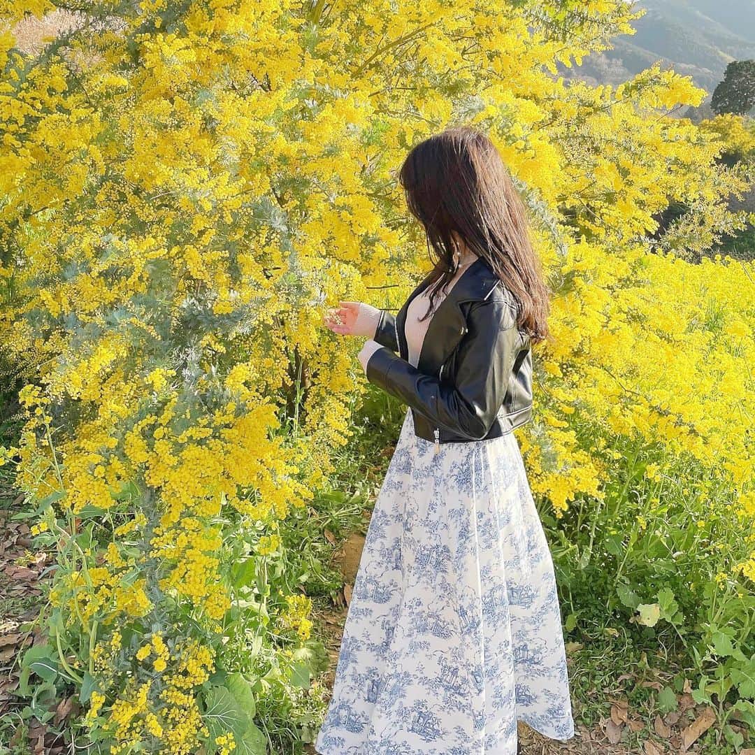 山田あかりさんのインスタグラム写真 - (山田あかりInstagram)「黄色い丘に行ってきた🌸❤️ 菜の花とミモザ、桜が咲いてて綺麗だったよ🥲✨  スカート @grl_official  153cmの私で足首より上くらいの長さでちょうどよかった！ ブルベに間違いなしの淡いブルーからーで可愛いよ💕 ウエストはゴムだったから沢山食べる日でも安心🙆‍♀️❤️  #grl #グレイル　#グレイル購入品 #グレイルコーデ #ロングスカート #ロングスカートコーデ #春コーデ　#春コーデ2023 #犬寄峠の黄色い丘 #黄色い丘　#菜の花畑 #ミモザ畑　#お花畑　#ブルベコーデ　#ブルベ夏 #ブルベ冬　#プチプラコーデ #撮影データ」3月12日 21時55分 - akari030201