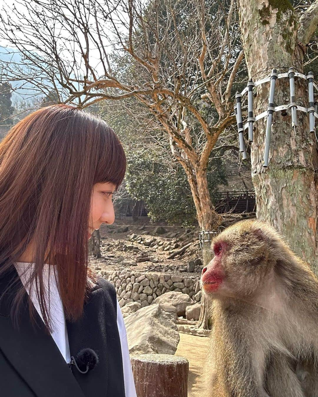 島本真衣さんのインスタグラム写真 - (島本真衣Instagram)「この週末、大分県の高崎山自然動物園でロケをしてきました🎤 猿たちが沢山のことを教えてくれました‼︎可愛かったです♪ 放送日等の詳細は追ってお伝えするでござる🐒  @wide_scramble  #高崎山自然動物園 #猿 #野生 #こんなに近づけました」3月12日 22時02分 - mai_shimamoto_ex