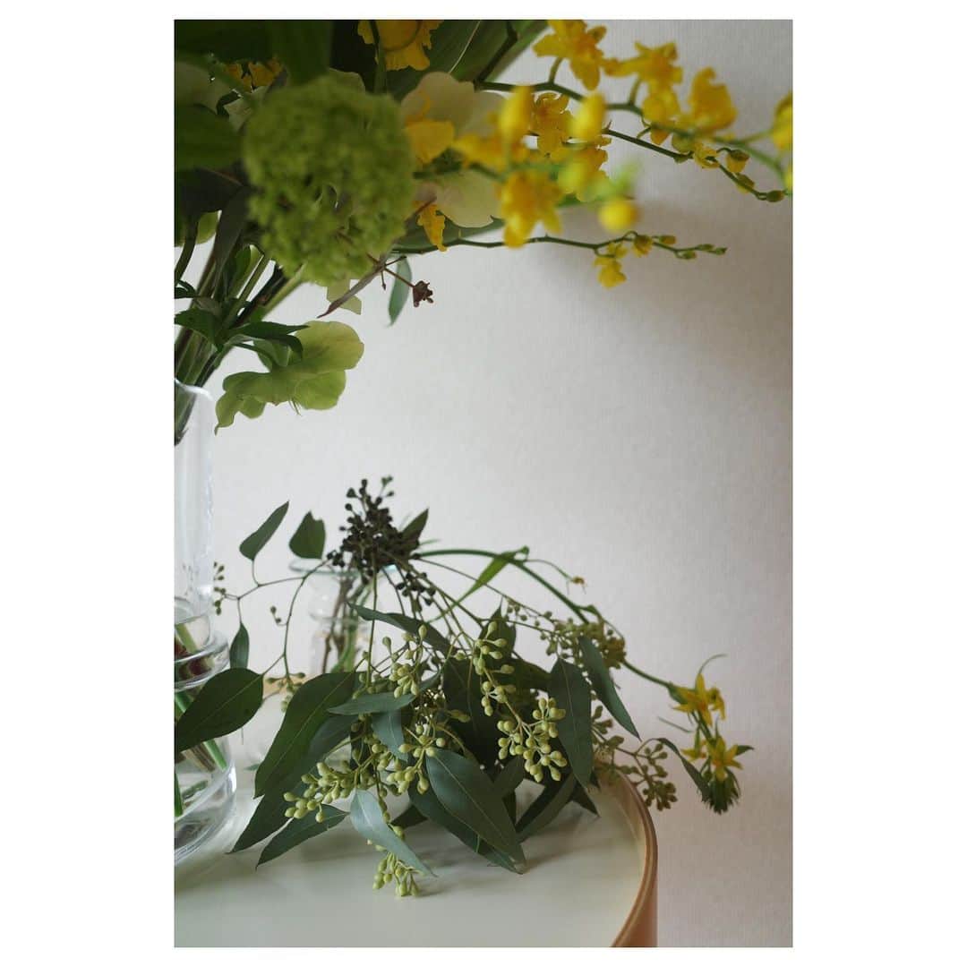 高垣麗子さんのインスタグラム写真 - (高垣麗子Instagram)「* おはようございます  昨日、現場でいただいた立派なブーケのおかげでわが家のリビングは華やかです✨✨  朝から嬉しいな✨✨  皆さんも今日も良い一日を𓂃  * #flower」3月14日 8時52分 - reikotakagaki