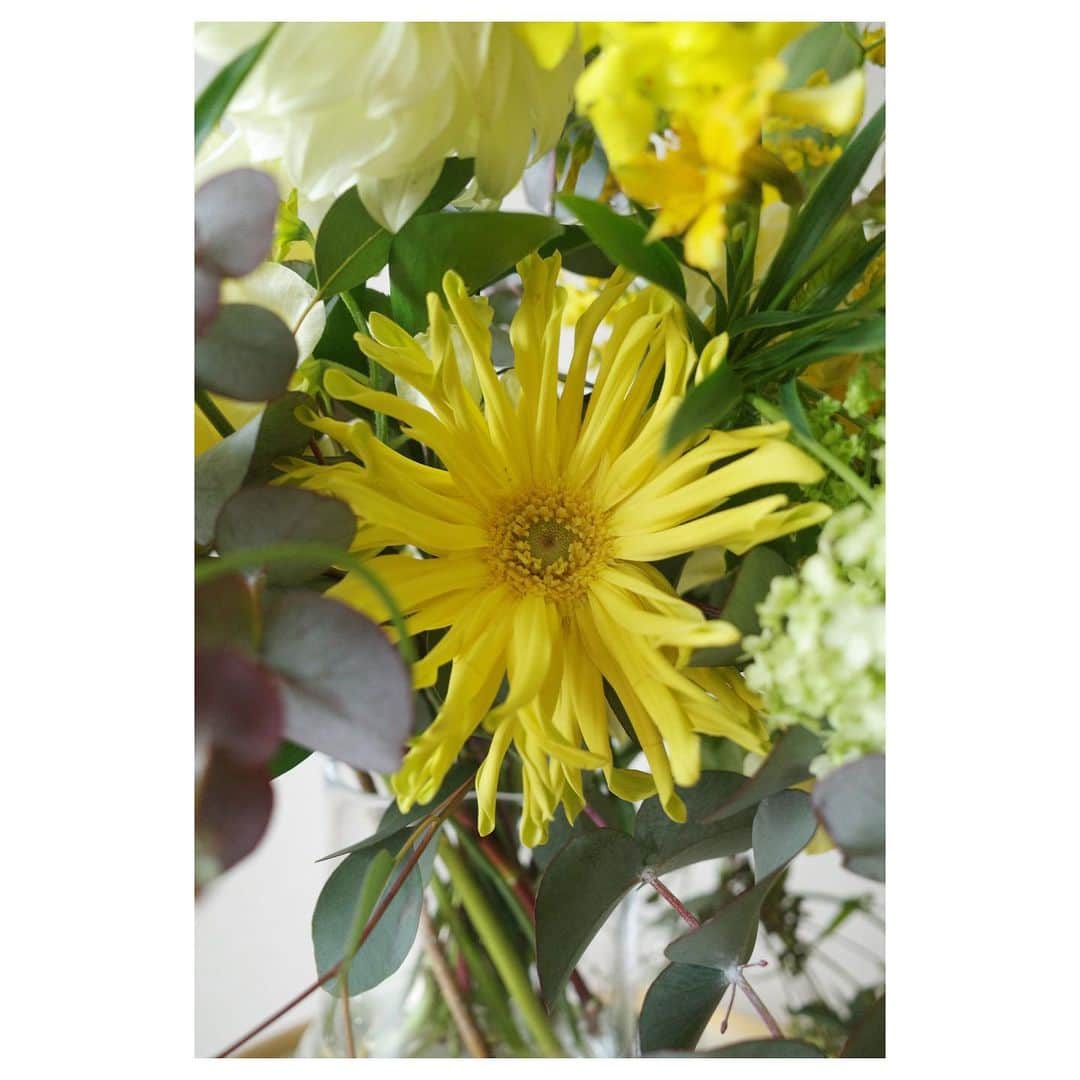 高垣麗子さんのインスタグラム写真 - (高垣麗子Instagram)「* おはようございます  昨日、現場でいただいた立派なブーケのおかげでわが家のリビングは華やかです✨✨  朝から嬉しいな✨✨  皆さんも今日も良い一日を𓂃  * #flower」3月14日 8時52分 - reikotakagaki