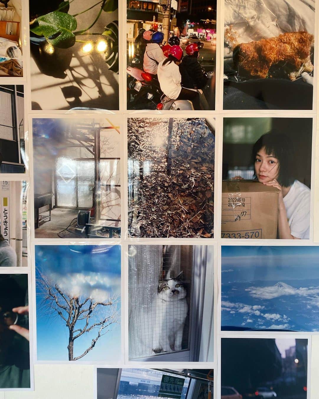 早坂香須子さんのインスタグラム写真 - (早坂香須子Instagram)「八ヶ岳で 久しぶりの @gallery_trax   Kotori Kawashima Exhibition 川島小鳥写真展   『だいじだいじよ』 2023年3月11日(土)ー3月26日(日)　  写真の中の 可愛らしい人たちとか（猫とか！） 綺麗な光とか  美味しいコーヒーとケーキとか  悦子さんの笑顔とか。  最後でした。」3月14日 18時01分 - kazukovalentine