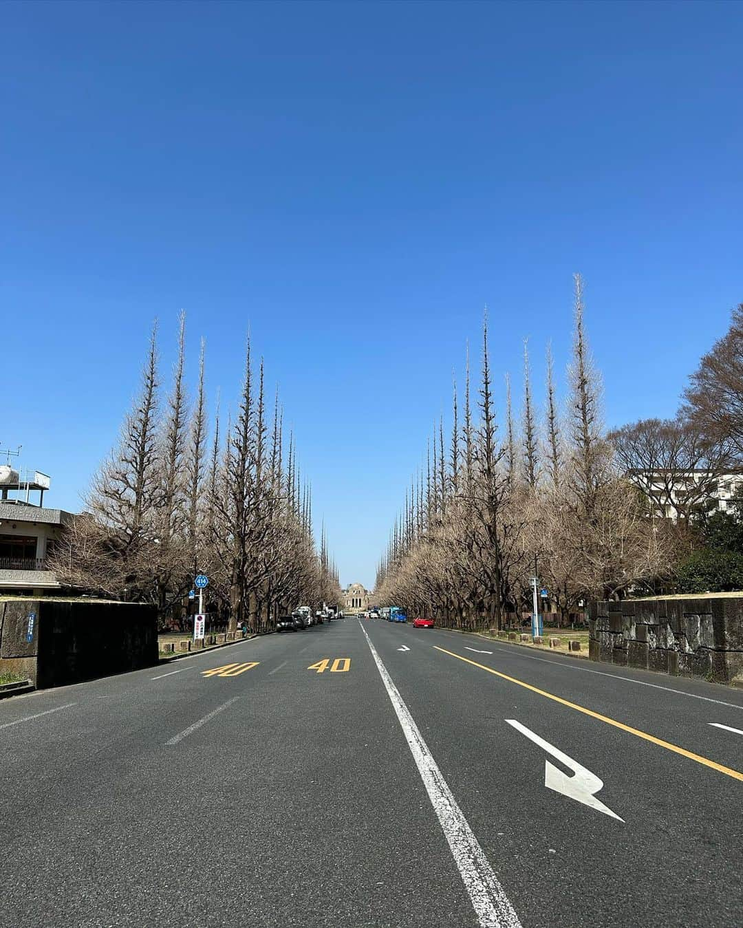 春名亜美さんのインスタグラム写真 - (春名亜美Instagram)「本日3月14日、東京で桜が開花🌸 いよいよ春🌸🌸🌸  #coat @newans.official  #knit @aton_tokyo  #pants @searoomlynn_official  #bag @delvaux  #shoes @ohgaofficial   #newans #aton #atontokyo #delvaux #delvauxbrillant #searoomlynn #ohga」3月14日 19時32分 - amiharunaami