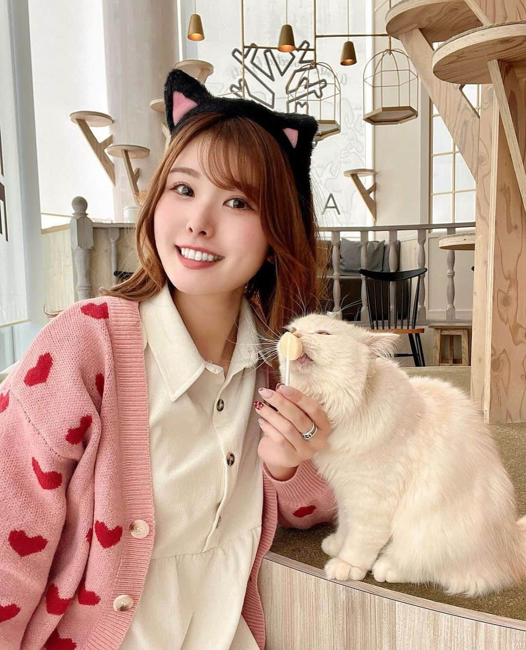 美女美容事情さんのインスタグラム写真 - (美女美容事情Instagram)「《猫カフェの癒し💖🐈》 *⁠ リポストを使って素敵な美女の投稿を紹介させて頂く【ビジョビ💄美女美容事情💅】のコーナーです✨ *⁠ 今回ご紹介させて頂きますのは!!👀❤︎⁠⠀ y0uc0riinさん< @xxy0uc0riinxx >の素敵なお写真📸⁠⠀⁠⠀⁠⠀⁠ *⁠⠀⁠⠀⁠⠀⁠⠀ 猫カフェの白猫と猫耳美女❣️🐱 可愛い組み合わせがたまらないです💛🤍 *⠀⁠⠀⁠⠀⁠⠀⁠⠀ y0uc0riinさん< @xxy0uc0riinxx > ⁠⠀⁠⠀⁠⠀⁠⠀ 素敵な投稿ありがとうございました☺️📸✨ *⠀⁠⠀⁠⠀⁠⠀⁠⠀ y0uc0riinさんのアカウントには他にも素晴らしい投稿が沢山ありますので是非覗いてみてくださいね💁‍♀️💙⁠⠀⁠⠀⁠⠀⁠⠀ *⠀⁠⠀⁠⠀⁠⠀⁠⠀ △▼△▼△▼△▼△▼△▼△▼△▼△▼ ⁠⠀⁠⠀⁠⠀ ❤🧡💛「美女美容事情」💚💙💜⠀⠀⠀⠀⠀⠀⠀⠀⠀⠀⠀⠀⠀⠀⁠⠀⁠⠀⁠⠀⁠⠀⁠⠀ 👇掲載ご希望の方は👇⠀⠀⠀⠀⠀⠀⠀⠀⠀⠀⠀⠀⠀⠀⠀⁠⠀⁠⠀⁠⠀⁠⠀⁠⠀ @b_b_j.jタグ付けと🖤 #ビジョビ ⁠⠀ 🖤タグ付けお願いします✨⠀⠀⠀⠀⠀⠀⠀⠀⠀⠀⠀⠀⠀⠀⠀⁠⠀⁠⠀⁠⠀⁠⠀⁠⠀ △▼△▼△▼△▼△▼△▼△▼△▼△▼ ⁠⠀⁠ #猫カフェmocha#猫カフェ#PR#原宿猫カフェ#原宿カフェ#🐈#catcafe#harajyuku#東京#東京観光#原宿観光#原宿」3月15日 17時33分 - b_b_j.j