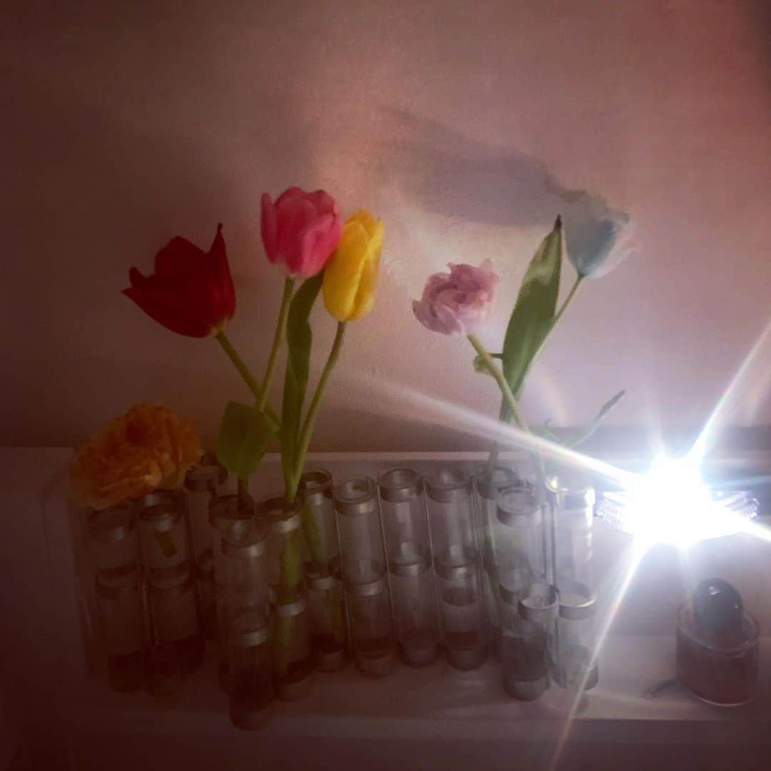 LiLyさんのインスタグラム写真 - (LiLyInstagram)「そして、ここ。 儀式的な空間、 BED。 快楽と睡眠、 癒しと刺激、 対極が共存する 世界一好きな場所 MY very  own BED。  仕事までできちゃう 無敵な空間に 春がきた💐✨✨✨  ありがとう 保健室のari ©︎  #世界一好きな場所 #ベッド #花」3月15日 18時21分 - lilylilylilycom