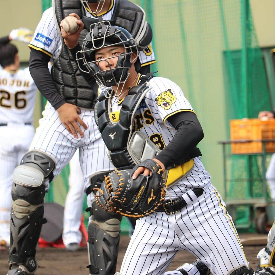 阪神タイガースさんのインスタグラム写真 - (阪神タイガースInstagram)「3月16日、鳴尾浜球場でのファームの練習の様子です！明日からウエスタン•リーグが開幕します！ #阪神タイガース  #井坪陽生 選手 #中川勇斗 選手 #戸井零士 選手 #野口恭佑 選手 #小野寺暖 選手 #前川右京 選手 #榮枝裕貴 選手 #髙寺望夢 選手 #髙濱祐仁 選手 #北條史也 選手 #阪神タイガース  #ウエスタンリーグ #開幕 #ARE」3月16日 15時40分 - hanshintigers_official