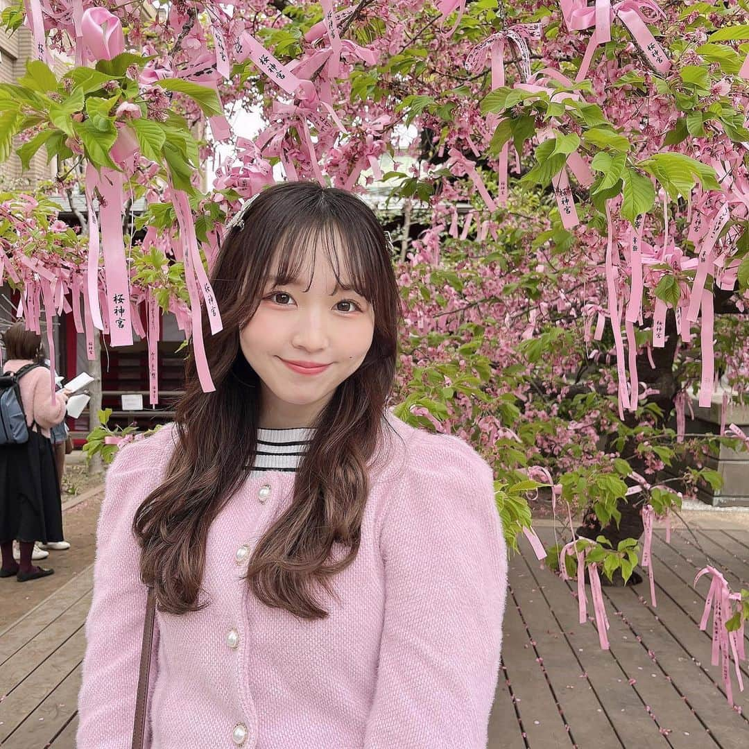 夏井さらさんのインスタグラム写真 - (夏井さらInstagram)「桜神宮🌸🤍  ちょと時期遅くて葉桜になってたけど気にしない＾＾＾＾❤︎  . . . #桜神宮 #桜新町 #桜新町カフェ #お花見 #ピンクコーデ」3月17日 22時01分 - sara_natsui