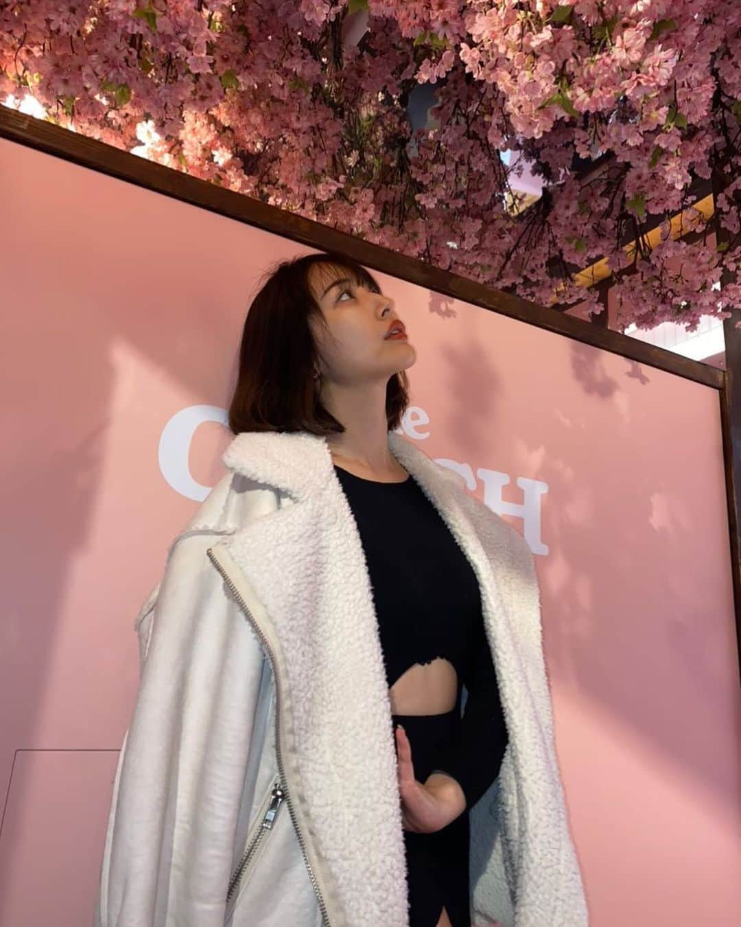 はりーさんのインスタグラム写真 - (はりーInstagram)「@coach_japan  @coach  🌸🌸🌸 #コーチタビー #InMyTabby #CoachJapan」3月18日 12時23分 - kirarin_harry_official