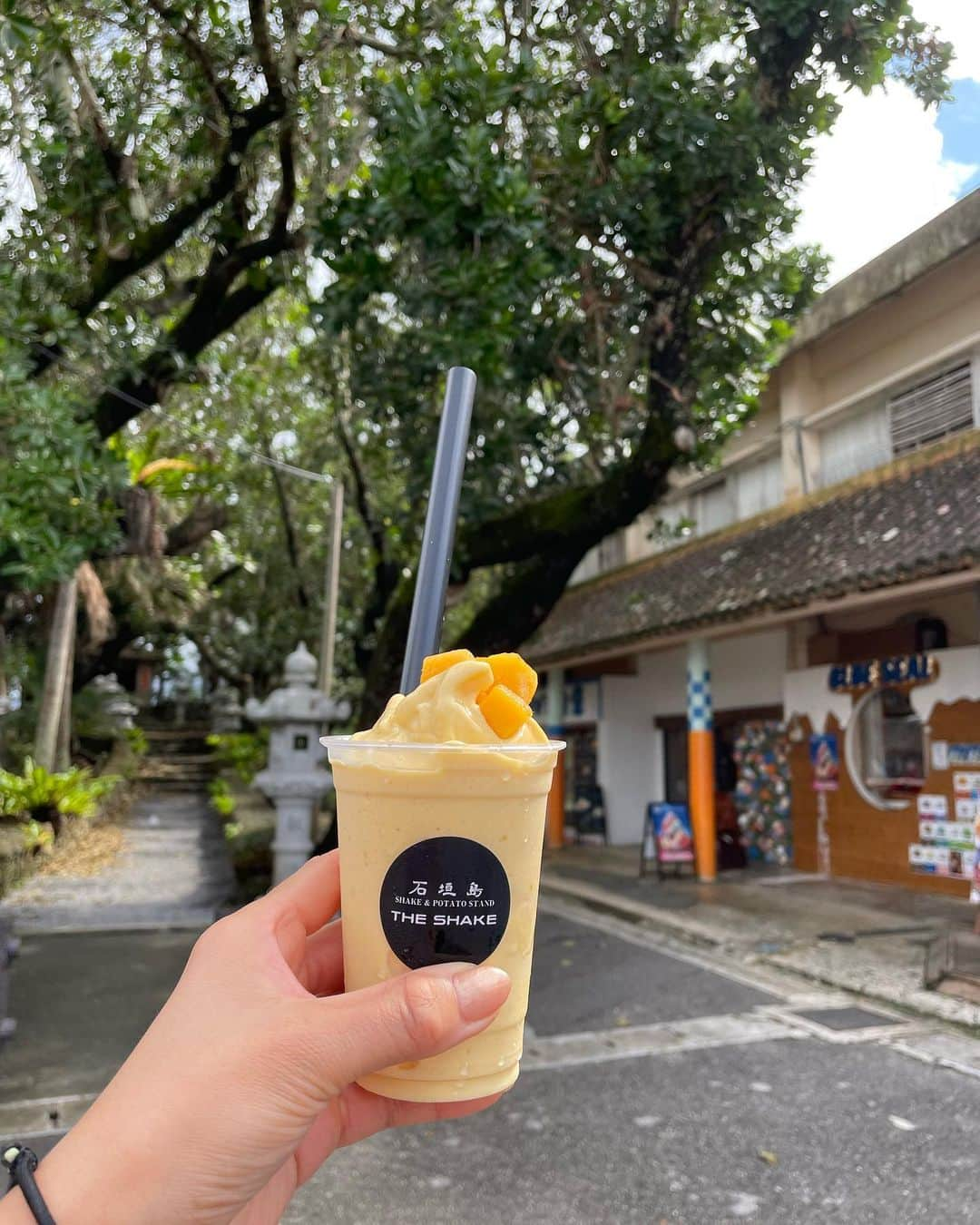 あおい夏海さんのインスタグラム写真 - (あおい夏海Instagram)「去年石垣島いったときの！ なんかすごかった！！ また行きたいな。   #石垣島 #石垣島観光 #石垣島旅行  #旅女子」3月20日 20時30分 - natsumi.aoi