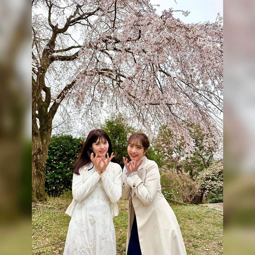 フジテレビ「めざましテレビ」さんのインスタグラム写真 - (フジテレビ「めざましテレビ」Instagram)「． 明日の #めざましテレビ は…祝日企画🌸  #藤本万梨乃 アナウンサーと #谷尻萌 キャスターが春らんまん！横浜の桜スポットを紹介🌸  見頃を迎えた桜はもちろん、予算1000円で探す桜スイーツ💖さらにSUPに乗ってお花見など！ 春の横浜をふたりで堪能しまくりです✨  おたのしみに💕」3月20日 20時44分 - mezamashi.tv