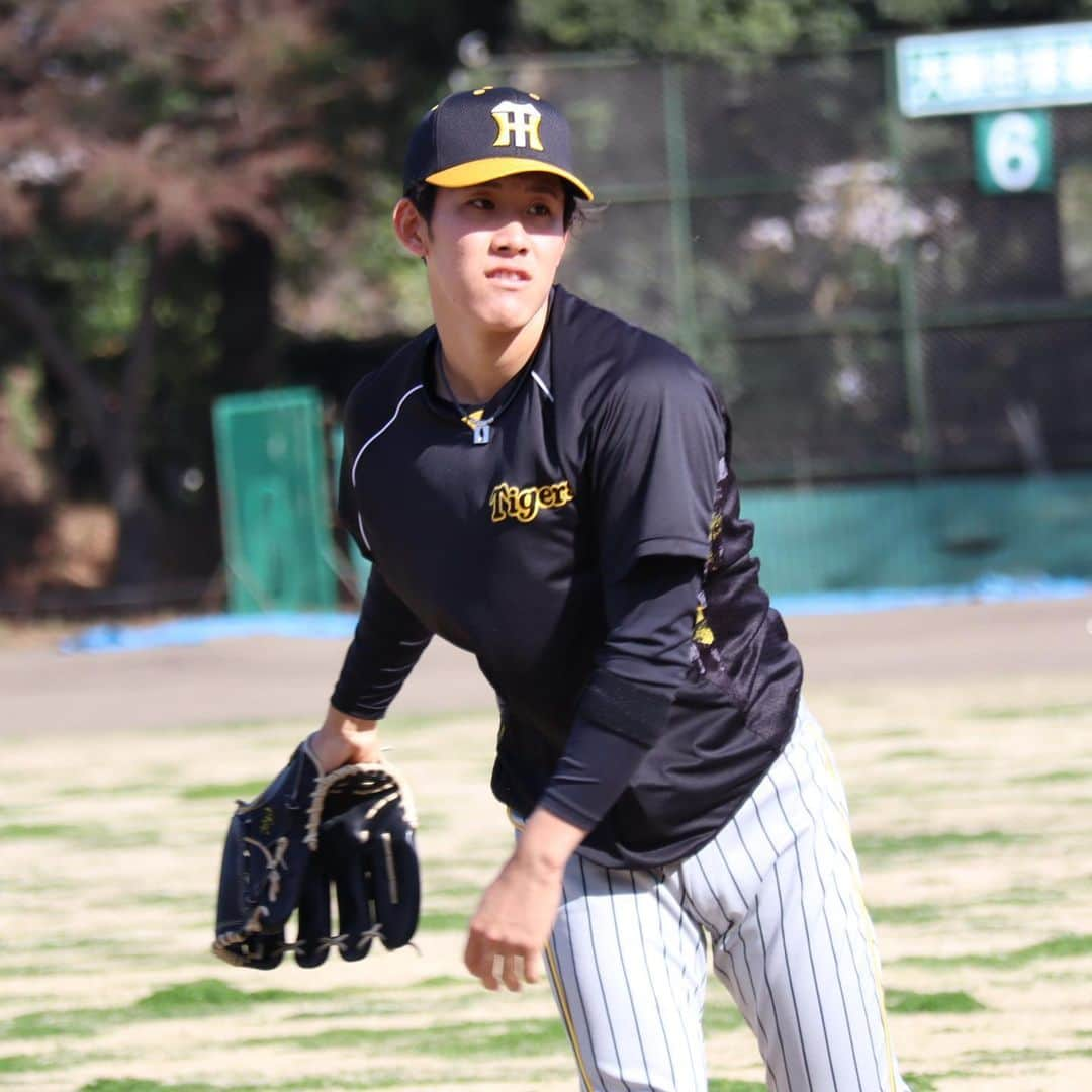 阪神タイガースさんのインスタグラム写真 - (阪神タイガースInstagram)「3月20日、神宮室内練習場•コブシ球場での指名練習の様子です！ #佐藤輝明 選手 #森下翔太 選手 #長坂拳弥 選手 #坂本誠志郎 選手 #小幡竜平 選手 #渡邉諒 選手 #木浪聖也 選手 #島田海吏 選手 #石井大智 選手 #富田蓮 選手 #大山悠輔 選手 #熊谷敬宥 選手 #阪神タイガース  #ARE」3月20日 23時10分 - hanshintigers_official