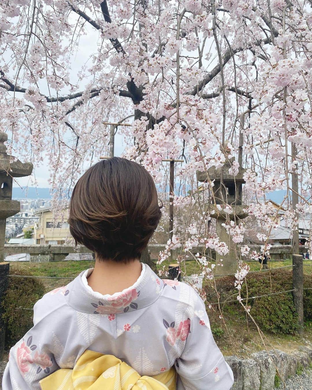 佐々木萌香さんのインスタグラム写真 - (佐々木萌香Instagram)「Kyoto Japan🌸☁️⛩🇯🇵」3月21日 21時21分 - moeka_sasaki