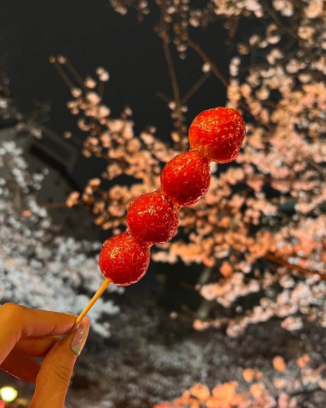 鈴木愛美さんのインスタグラム写真 - (鈴木愛美Instagram)「: 🍓🌸  今年もしっかり桜見に行けた🌸✴︎゜  #♡」3月23日 11時51分 - x.manya.x