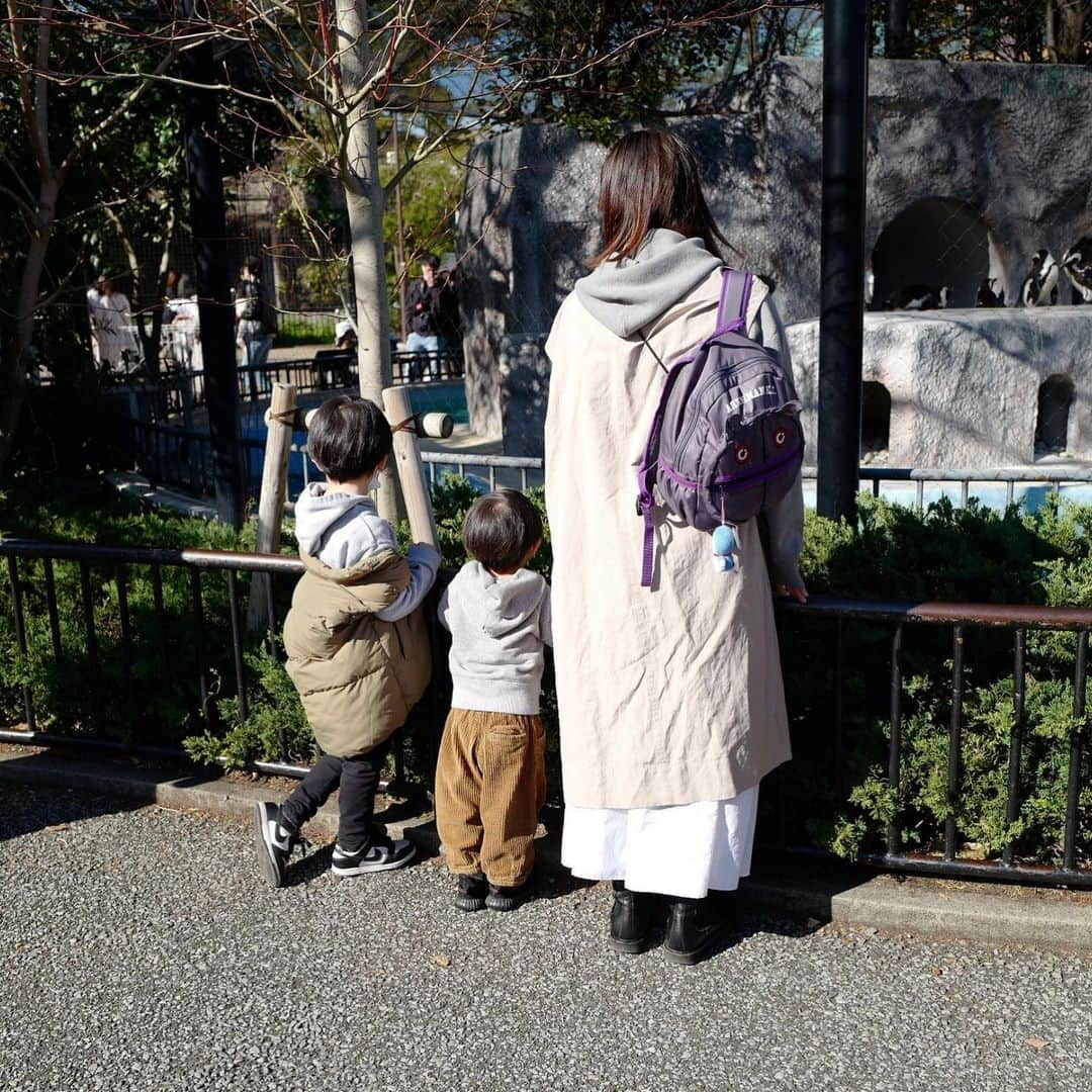 安田美沙子さんのインスタグラム写真 - (安田美沙子Instagram)「先日、家族で上野動物園へいきました🐘  東京に来た日に マネージャーさん 「みさ、これが上野動物園だよ」 私 「えっ？これがあの有名な！？」  それから20年。やっと行けた😭  🐼は残念ながら行列で諦めて、他のものを見ました✨  シロクマが立つところが見れたり、青いカエルが見れたり。  1番は息子が幼稚園で習ってしょっちゅう名前が出るハシビロコウ🦤  私「えっ！？完全にチョコボやん！！」  全く動かない。。  沢山珍しい動物もいて、平和な1日が過ごせました☺️  次男はペンギンをみて、「ポッチャマ！」と叫んでました🐧  また行こうね♥️  #上野動物園 #1枚目の私の顔🤣 #boys #ハシビロコウ #桜🌸 #私の謎の視線 #skirt @hereiam.official」3月23日 15時05分 - yasuda_misako