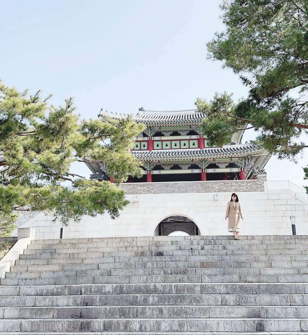 壽老麻衣さんのインスタグラム写真 - (壽老麻衣Instagram)「#韓国旅シリーズ ✈️🇰🇷✨ラスト投稿！  式の前に、ホテル周辺の公園を散歩🍀 また韓国へ行ったときはいろいろと写真をアップします😊」3月23日 20時53分 - maijuro