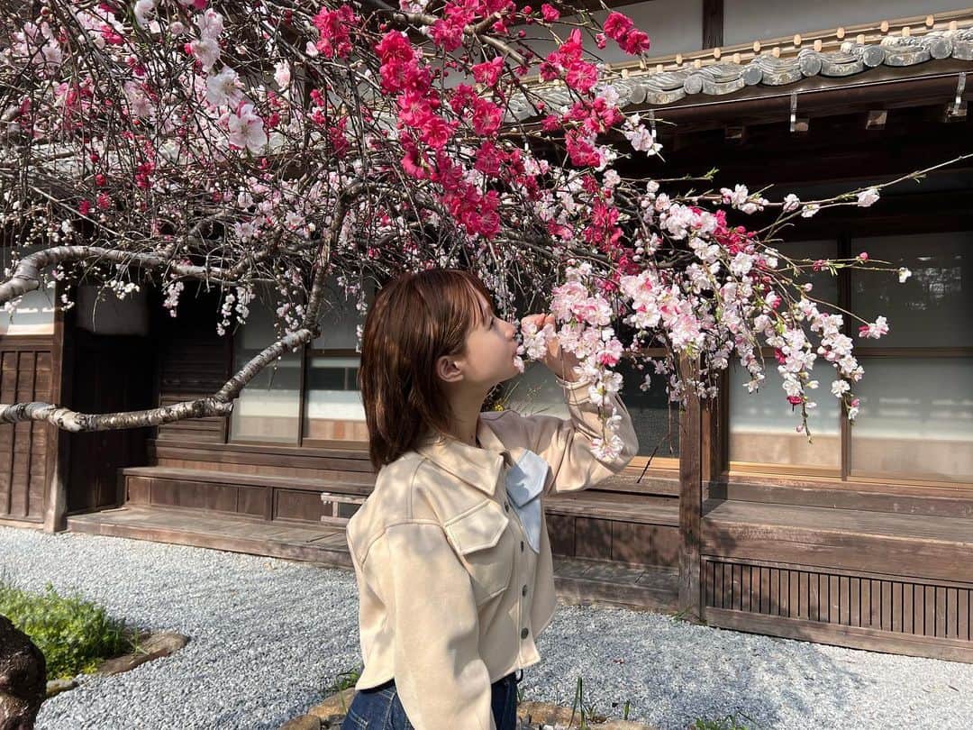 真奈さんのインスタグラム写真 - (真奈Instagram)「たま&らん」3月23日 22時09分 - manatmnt0116