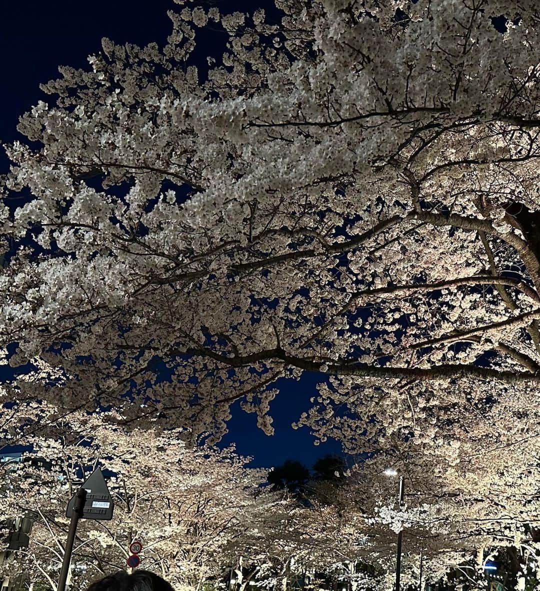 穂川果音さんのインスタグラム写真 - (穂川果音Instagram)「ちょっと前にミッドタウンの桜の様子を見に行ったけど、桜が満開でした🌸 夜はライトアップされているようで綺麗でしたよ〜  今週末は前線の動きの予想が難しくて、、雨の予報がとにかく難しい😭お花見できるかなぁ、、  桜は毎年、毎週見たいんです🌸🌸🌸←  #桜 #桜スポット #東京ミッドタウン　#sakura #cherryblossom #tokyo #roppongi #花見 #花が好き」3月24日 0時15分 - hokawakanonn