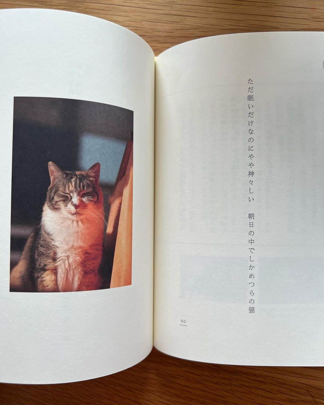 坂本美雨さんのインスタグラム写真 - (坂本美雨Instagram)「以前からインスタで拝見していて胸打たれていた猫歌人・仁尾智さん @s_nio の猫短歌集が届いた。いつもハッとしたりじーーんとしたりニヤニヤしたり。 淡々としたそぶりの言葉の中に深い深い愛情と長く猫と暮らしてこられた経験が詰まっていて。 大好きです。」3月24日 10時05分 - miu_sakamoto