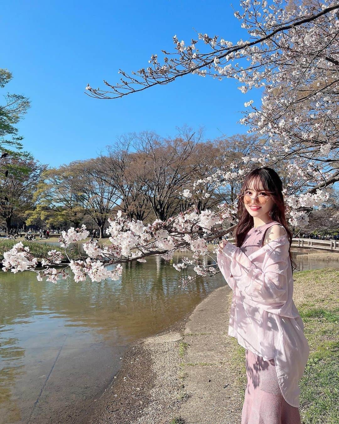 小越しほみさんのインスタグラム写真 - (小越しほみInstagram)「先週の代々木公園は まだ桜咲いてるの数本だったけどそろそろ満開かなぁ？  満開の桜の木の下でお酒飲んだり屋台の食べ物食べたりする ガチなお花見がしたいです🍶(予定ナシ)  この日眼鏡のつもりだったけど 撮った写真見たら色ついててサングラスと気づいた🫢笑  意外と日差し強くて役立ちました🌞  . . . . . . . . . . .  ︎︎︎︎︎︎☑︎shirt…ciena ︎︎︎︎︎︎☑︎onepiece… @grl_official  ︎︎︎︎︎︎☑︎sunglasses… @shein_japan 11275049 15-20%off coupon【shihomi2023】  #代々木公園 #桜 #さくら #ソメイヨシノ #sheinforall #shein #ootd #サクラ #お花見 #お花見スポット #お花見コーデ #花見 #花見スポット #桜の木の下で #sakura #cherryblossom #原宿 #代々木 #grl #グレイル #ciena #ピンクコーデ #サングラス #sunglasses #春コーデ #春服コーデ #春服 #春 #春カラー #桜コーデ」3月24日 13時26分 - shihomi1129