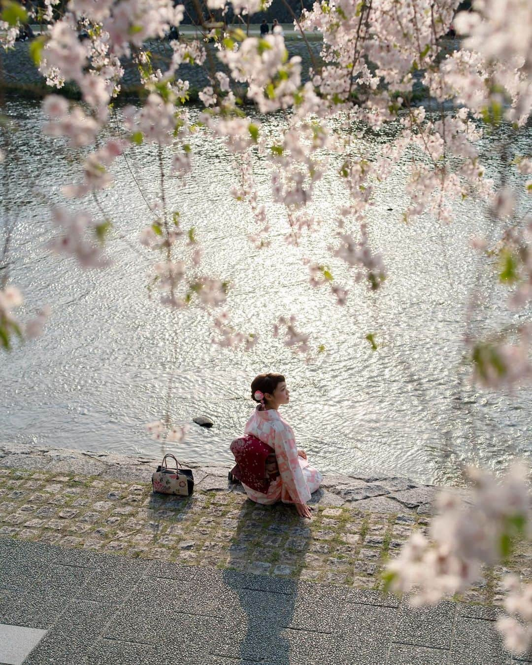 ののさんのインスタグラム写真 - (ののInstagram)「📸2018年撮影🌸 京都の桜も見に行かないと  Photographer @mantaroq   #ポートレート#京都#京都の桜#桜#さくら#さくら#そうだ京都行こう#そうだ京都へ行こう#京都観光#京都旅行#お花見#お花見スポット#円山公園#八坂神社#枝垂れ桜#着物Ｆ和服#着物ヘア#着物レンタル#着物コーディネート #kyoto#cherryblossom#kimono」3月25日 9時55分 - nonoko0309