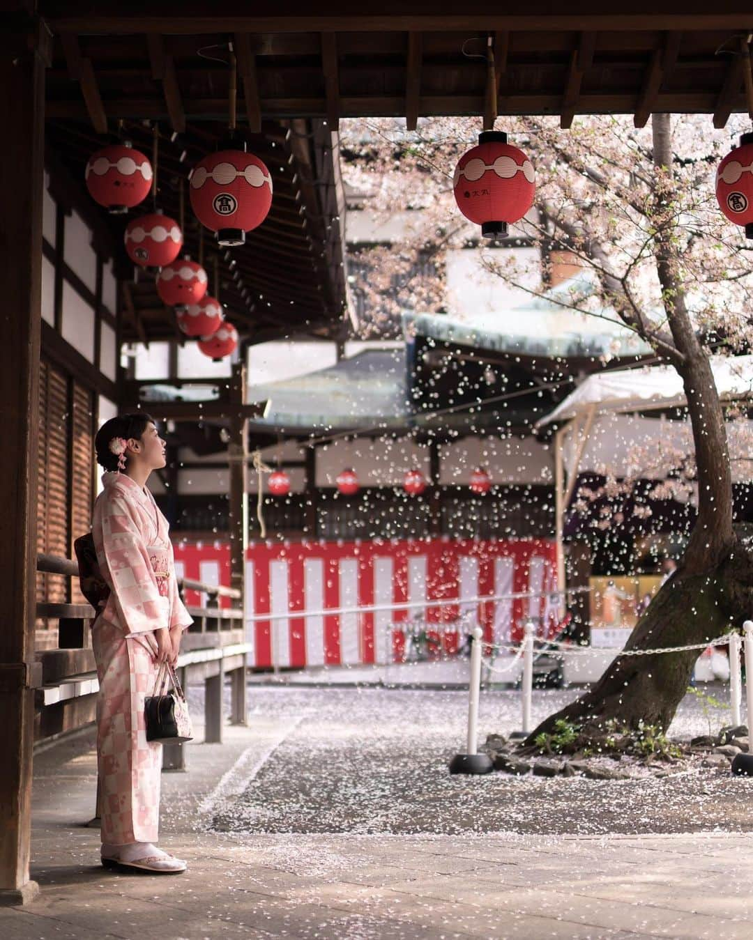 ののさんのインスタグラム写真 - (ののInstagram)「📸2018年撮影🌸 京都の桜も見に行かないと  Photographer @mantaroq   #ポートレート#京都#京都の桜#桜#さくら#さくら#そうだ京都行こう#そうだ京都へ行こう#京都観光#京都旅行#お花見#お花見スポット#円山公園#八坂神社#枝垂れ桜#着物Ｆ和服#着物ヘア#着物レンタル#着物コーディネート #kyoto#cherryblossom#kimono」3月25日 9時55分 - nonoko0309