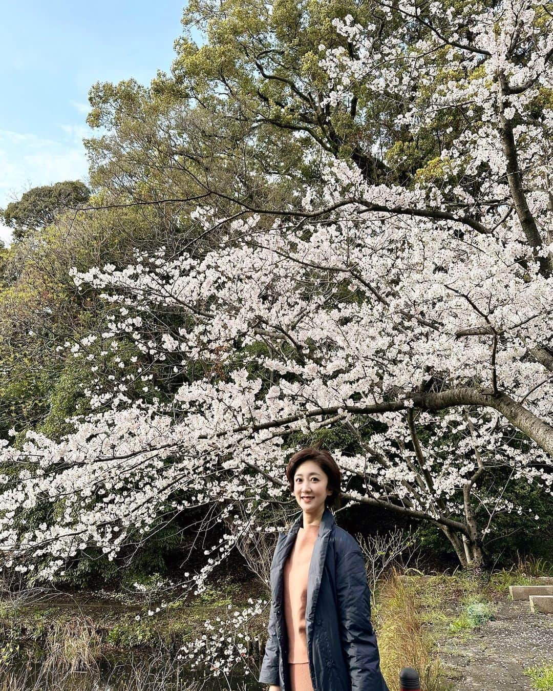 池尻和佳子さんのインスタグラム写真 - (池尻和佳子Instagram)「今日は娘と散歩がてらお花見🌸写真部の娘が撮るサクラは美しい。そして、花より団子だったりもする休日なのでした。明日からまた頑張ろう。」3月26日 20時31分 - wakako_ikejiri_rkb