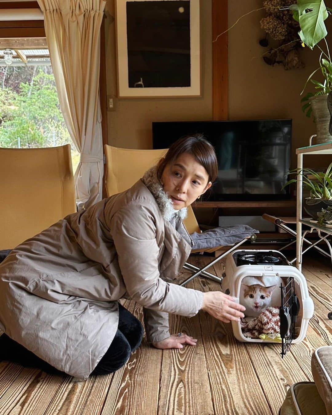 雪、ハニタビ、はちみつ（石田ゆり子）さんのインスタグラム写真 - (雪、ハニタビ、はちみつ（石田ゆり子）Instagram)「2023年3月26日 花冷えの雨の日曜日。  いよいよ今日は こっちっちを連れて，ずっとのおうちへ行く日です。  半年間ゆりごろう王国にいたこっちっち🐈 慣れてきた頃に環境の変化を強いることになったけれど でも、長い目で見ると 絶対に幸せになるほうへ。 新幹線🚅に乗って西へ。 こっちっち、 ちびたのいるあのすてきなおうちへ。 (つづく) #こっちっち物語」3月27日 11時54分 - snowhoney3ohagi