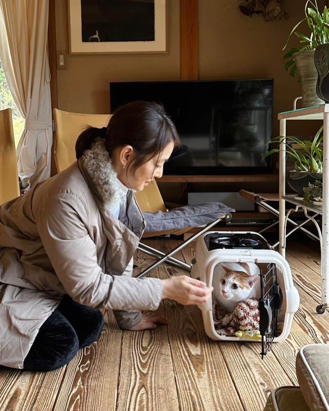雪、ハニタビ、はちみつ（石田ゆり子）さんのインスタグラム写真 - (雪、ハニタビ、はちみつ（石田ゆり子）Instagram)「2023年3月26日 花冷えの雨の日曜日。  いよいよ今日は こっちっちを連れて，ずっとのおうちへ行く日です。  半年間ゆりごろう王国にいたこっちっち🐈 慣れてきた頃に環境の変化を強いることになったけれど でも、長い目で見ると 絶対に幸せになるほうへ。 新幹線🚅に乗って西へ。 こっちっち、 ちびたのいるあのすてきなおうちへ。 (つづく) #こっちっち物語」3月27日 11時54分 - snowhoney3ohagi