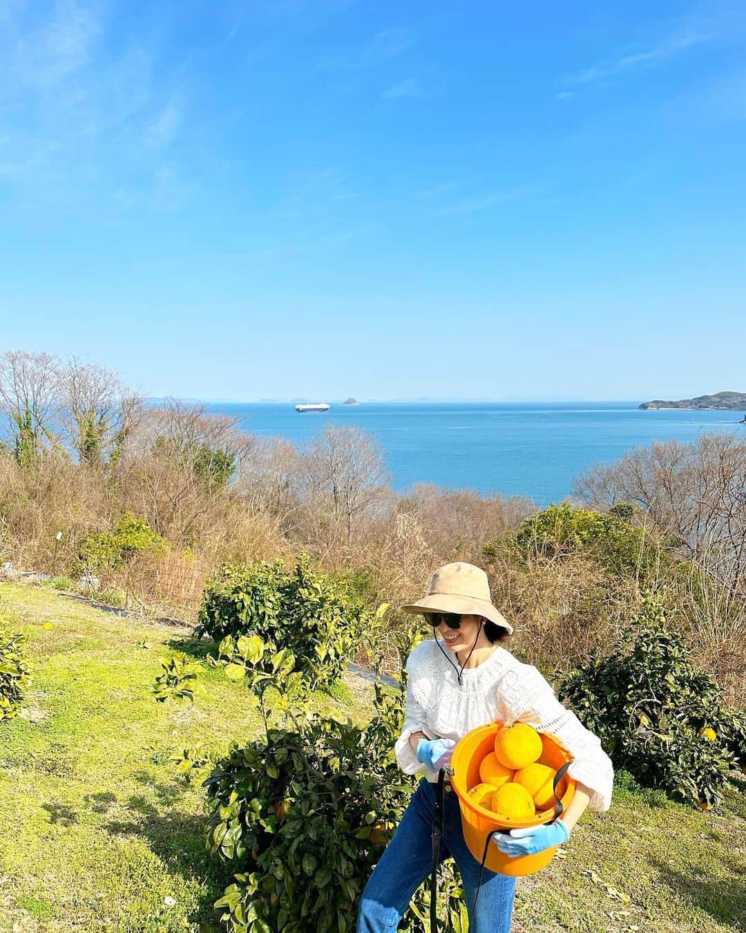川人未帆さんのインスタグラム写真 - (川人未帆Instagram)「・ 生口島旅行の次の日は、隣の因島へ。 @comorebi.farm でファームツアー🍊柑橘狩りを体験させていただきました✨  瀬戸内海を望む長閑な農園で採れるのは安政柑(初耳でした！)と八朔。 娘は最近で1番くらいに楽しい様子で、楽しんでいました☺️こんな自然、東京にはないもんね。  ファームツアーは随時開催されているようで、 @comorebi.farm さんにDMしたら組んで頂けました！ しまなみ海道行かれる方はぜひぜひ、体験していた頂きたい🍊  #mihoktrip」3月27日 22時19分 - miho0319kawahito