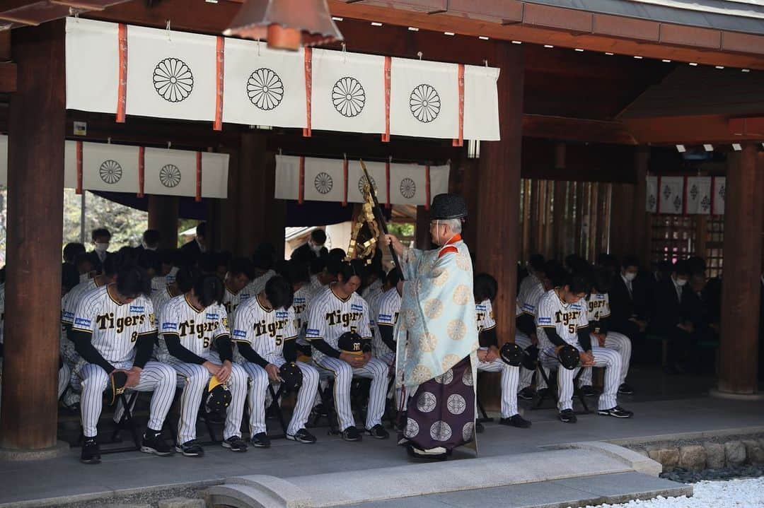 阪神タイガースさんのインスタグラム写真 - (阪神タイガースInstagram)「本日、西宮市の#廣田神社 で必勝祈願を行いました！ #阪神タイガース  #ARE」3月28日 15時52分 - hanshintigers_official