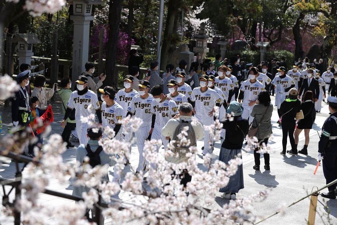 阪神タイガースさんのインスタグラム写真 - (阪神タイガースInstagram)「本日、西宮市の#廣田神社 で必勝祈願を行いました！ #阪神タイガース  #ARE」3月28日 15時52分 - hanshintigers_official