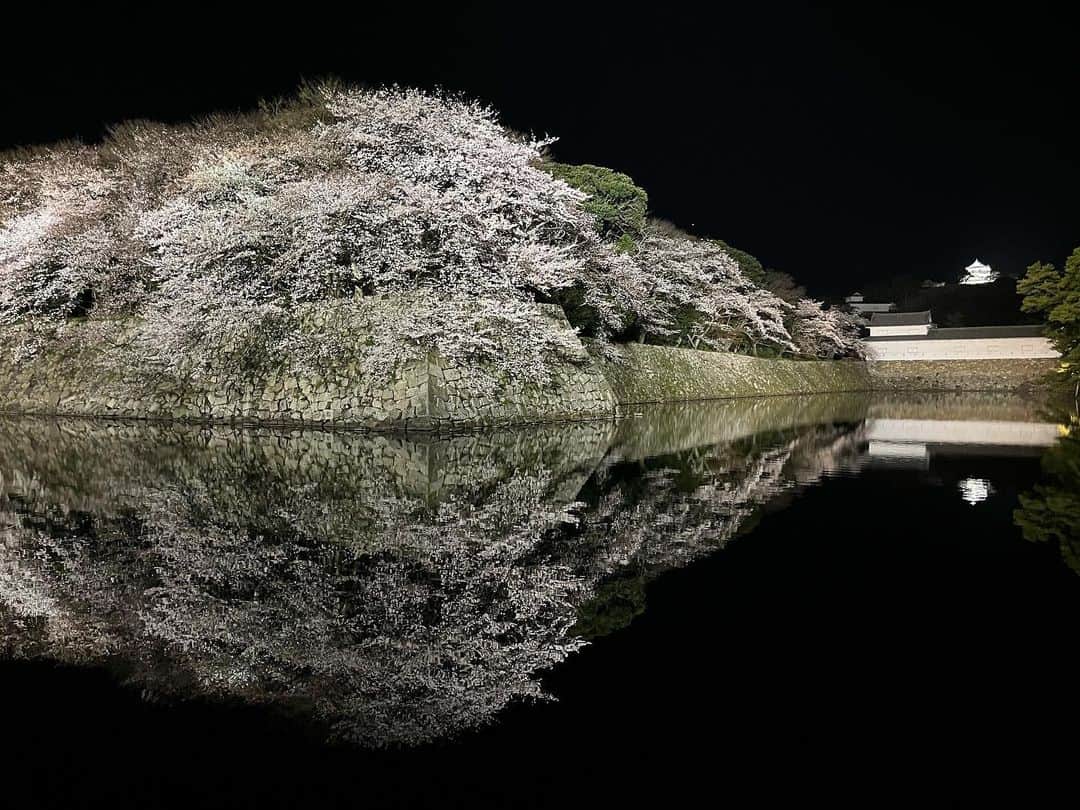 馬場典子さんのインスタグラム写真 - (馬場典子Instagram)「#彦根城 #さくら祭り #ライトアップ まだ五分咲きだそうですが、 美しかったです〜🌸  #馬場典子 #ばばちゃんネル」3月28日 23時02分 - baba_channel