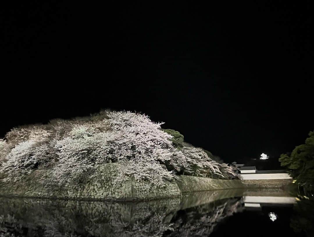 馬場典子さんのインスタグラム写真 - (馬場典子Instagram)「#彦根城 #さくら祭り #ライトアップ まだ五分咲きだそうですが、 美しかったです〜🌸  #馬場典子 #ばばちゃんネル」3月28日 23時02分 - baba_channel