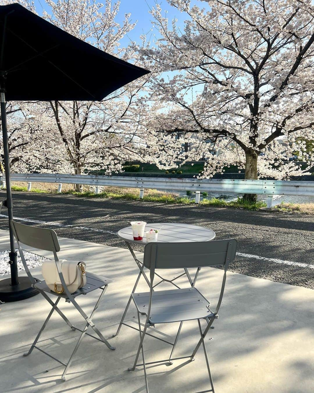 ののさんのインスタグラム写真 - (ののInstagram)「京都のカフェでお花見🌸 生いちごみるくと季節の桜のジェラートを注文 上賀茂神社から徒歩1分でテラス席は🐶もOKらしい  インスタで発見したカフェだけど桜の時期に行けて良かった  #京都カフェ#京都カフェ巡り#京都カフェ部#京都桜#京都桜巡り#京都桜スポット#桜#桜スイーツ#桜#お花見#上賀茂神社#賀茂川#鴨川#京都植物園#北大路カフェ#北大路ランチ#京都ランチ#チャールズアンドキース#エモダ#ユナイテッドトウキョウ#バケハ#バケハコーデ #unitedtokyo#charlesandkeith#emoda#chillskyoto」3月30日 7時20分 - nonoko0309